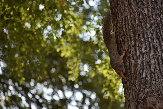 广阔前景 广阔前景