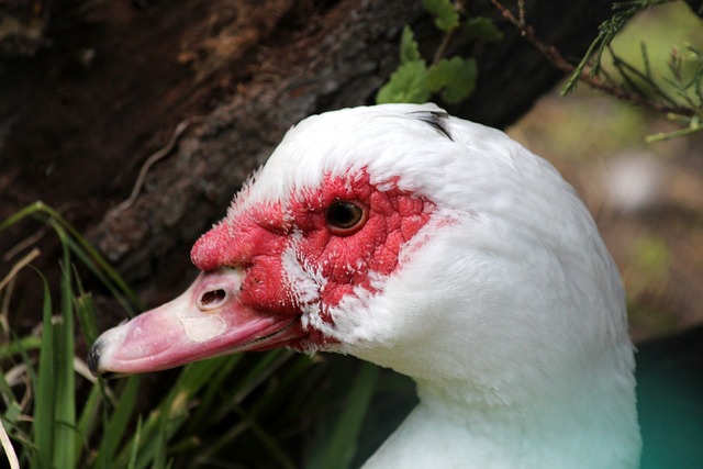 赏性和互动 赏性和互动