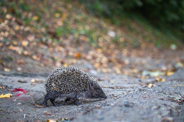 勢大幅縮減 勢大幅縮減