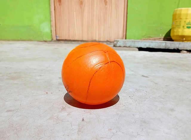 各自的优势 各自的优势