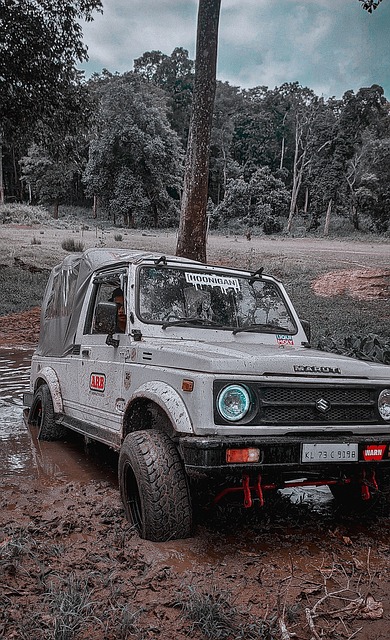 中超联赛的 中超联赛的