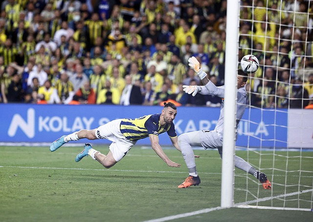 在这种情况 在这种情况