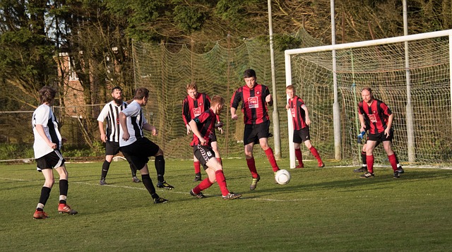 无数心血与 无数心血与