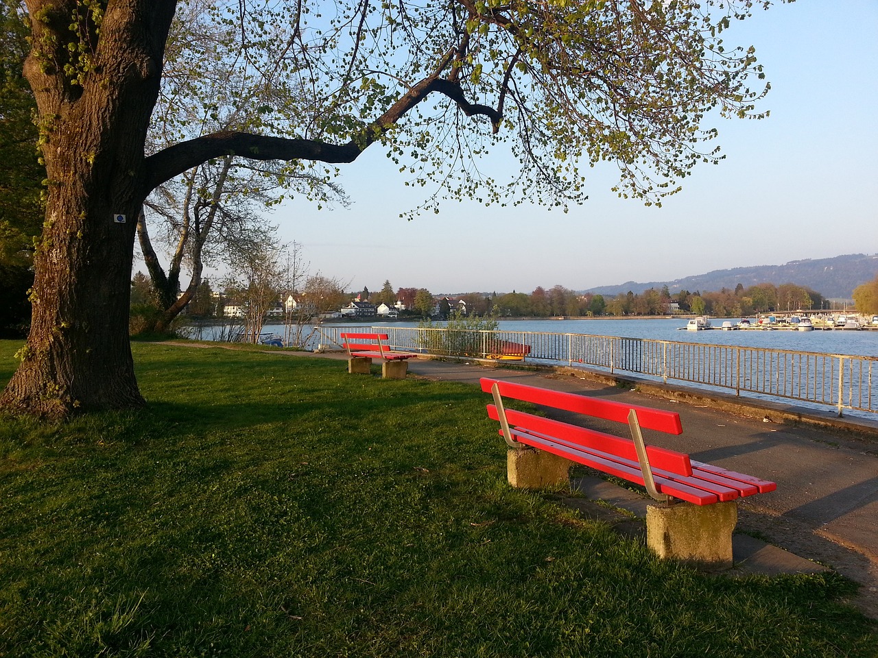 馬競門將奧布拉克談頸部傷病之苦:我必須相信一切都會好起來的.