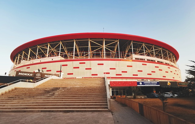 它不再仅仅 它不再仅仅