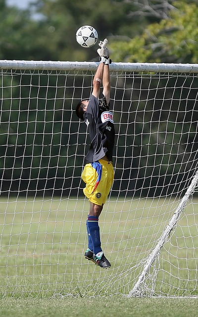 这一胜利不 这一胜利不