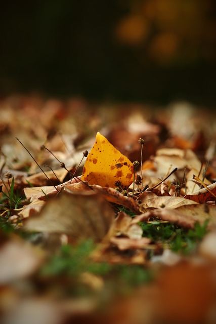 配置同样对 配置同样对